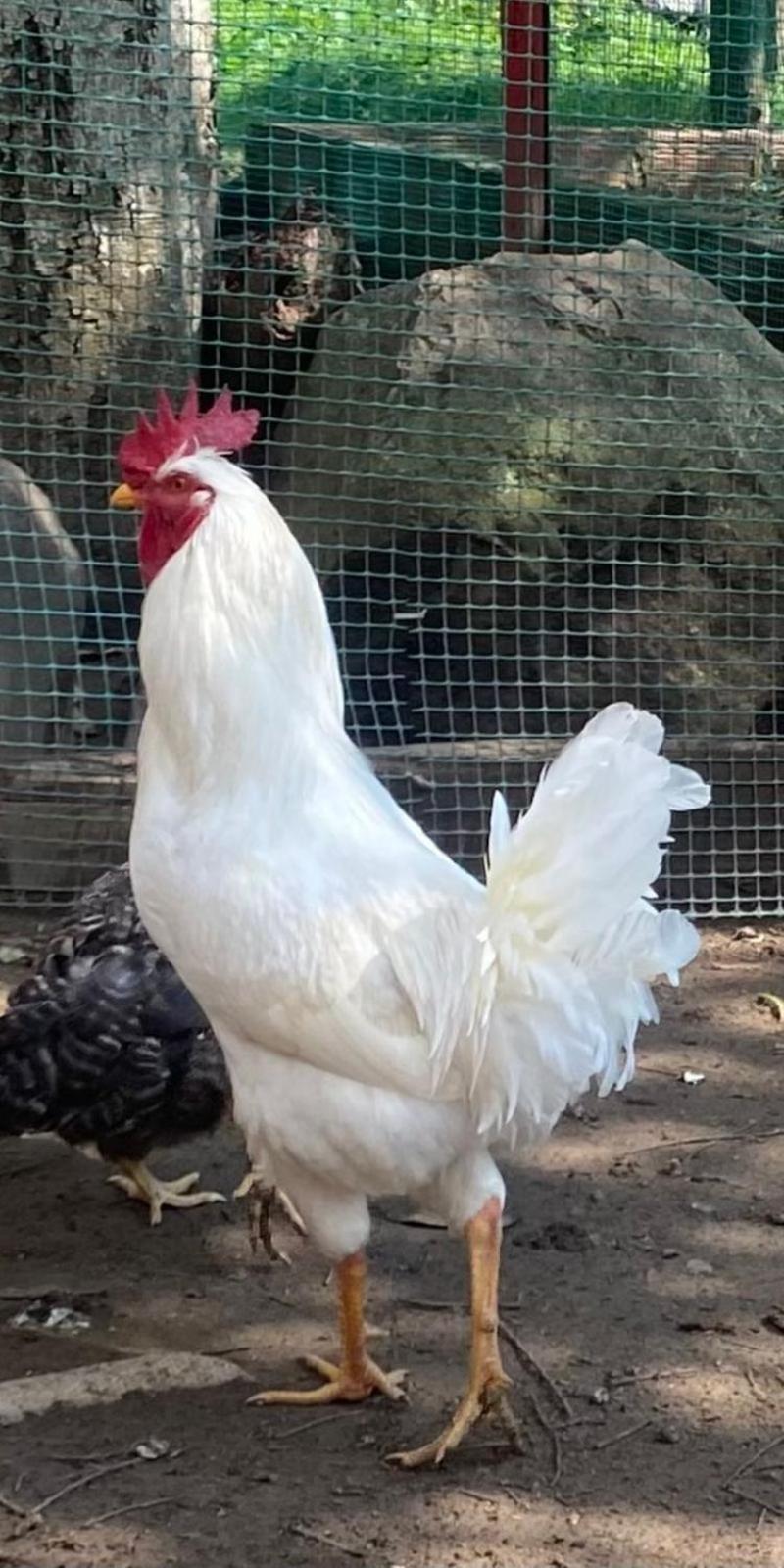 Hosteria Campestre San Fermin Ráquira Dış mekan fotoğraf