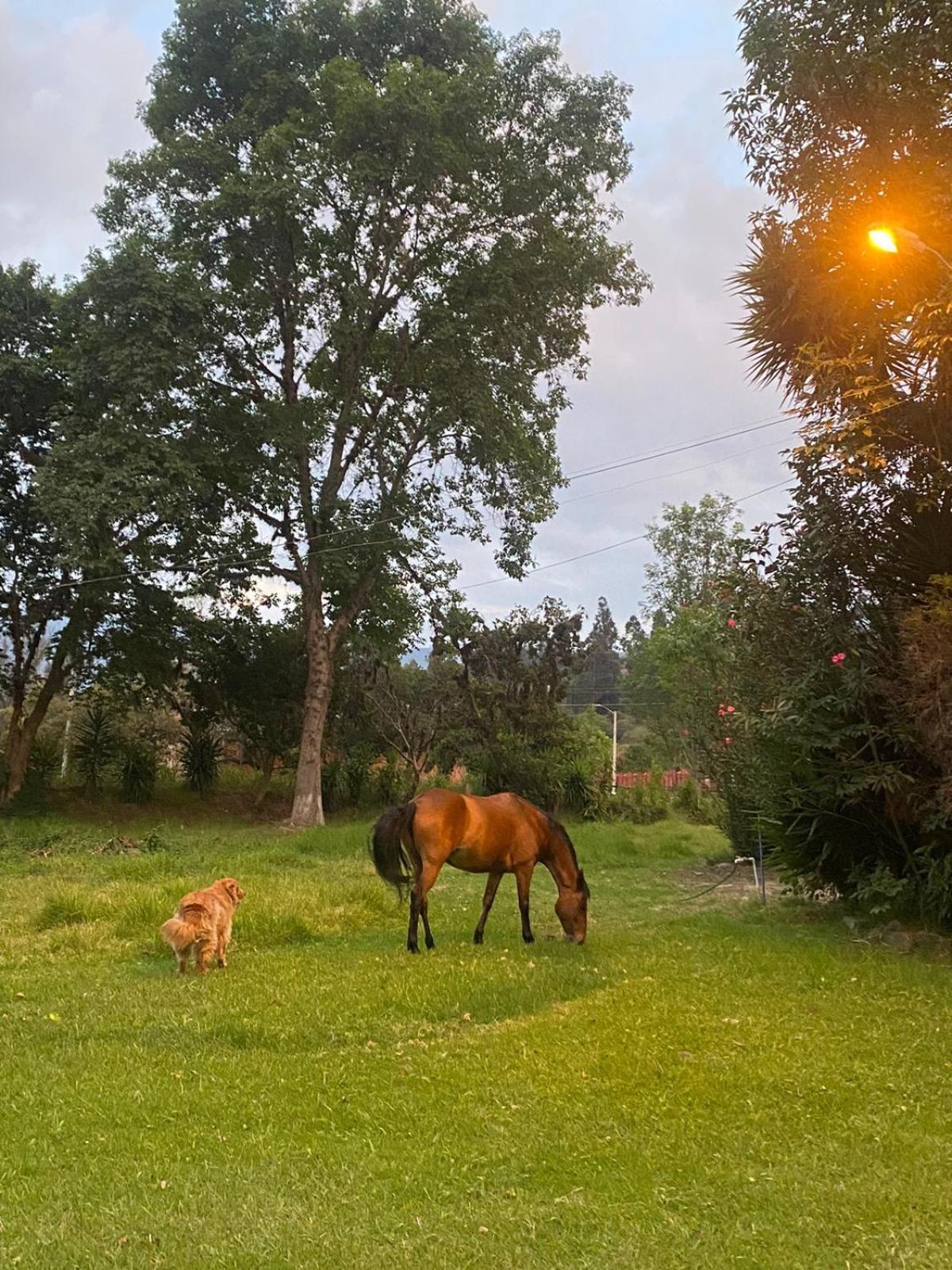 Hosteria Campestre San Fermin Ráquira Dış mekan fotoğraf
