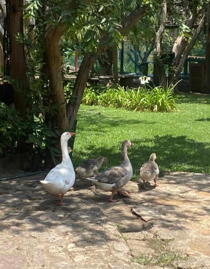 Hosteria Campestre San Fermin Ráquira Dış mekan fotoğraf