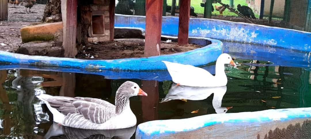 Hosteria Campestre San Fermin Ráquira Dış mekan fotoğraf